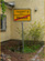 platzhalter